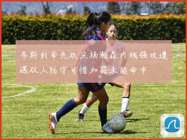韦斯利率先欢庆杨瀚森内线强攻遭遇双人防守可惜加罚未能命中